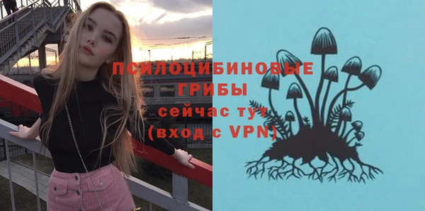 ГАЛЛЮЦИНОГЕННЫЕ ГРИБЫ Алзамай