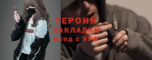 прущие грибы Абаза