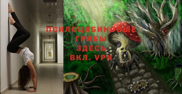 прущие грибы Абаза