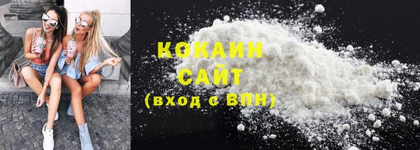 прущие грибы Абаза