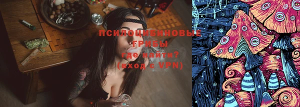 хмурый Алексеевка