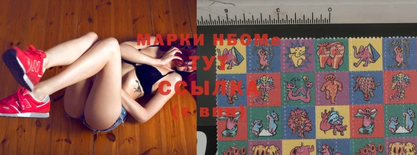 ГАЛЛЮЦИНОГЕННЫЕ ГРИБЫ Алзамай