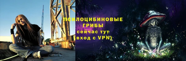 соль ск Абдулино