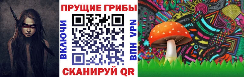Галлюциногенные грибы мицелий Питкяранта